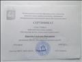 Сертификат участника районной выставки -галереи "Мгновения жизни дошкольного работника"