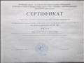 Сертификат участника районного методического объединения воспитателей "Современные педагогические технологии образования детей дошкольного возраста как средство реализации ФГОС ДО" Сертификат участника районного методического объединения воспитателей "Современные педагогические технологии образования детей дошкольного возраста как средство реализации ФГОС ДО"